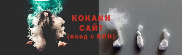 мет Арсеньев