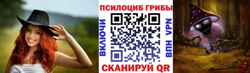 Псилоцибиновые грибы Cubensis где купить Каменногорск